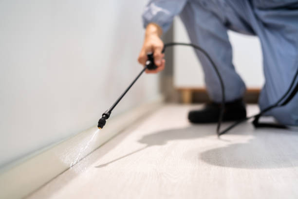Licensed Rodent Control service in Fraser, MI - Nex Pest Control