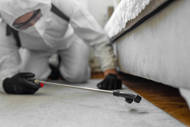 Professional Rodent Control technician working in Fraser, MI