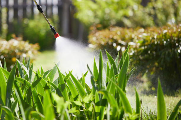 24/7 Emergency Rodent Control experts in Fraser, MI