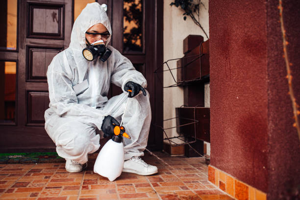 Reliable Rodent Control contractor in Fraser, MI by Nex Pest Control