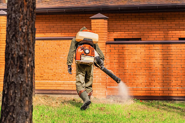 Top rated local Rodent Control specialists in Fraser, MI
